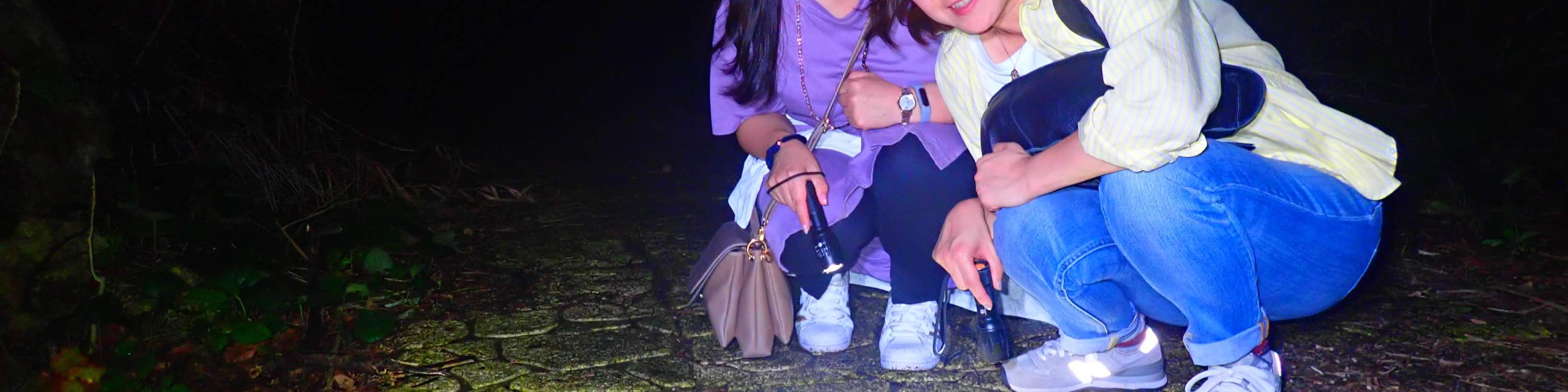 [Miyako Island/Night] Stargazing & Jungle Night Tour